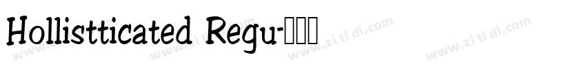 Hollistticated Regu字体转换